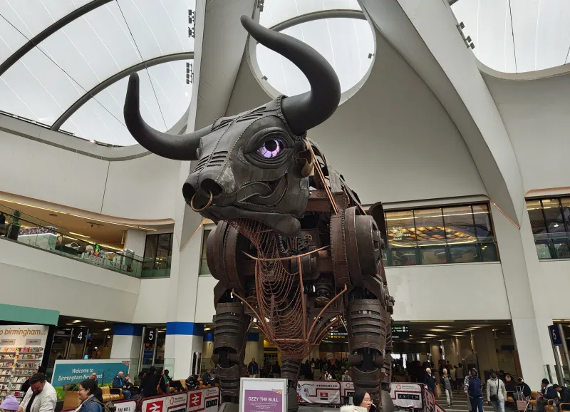 birmingham bull